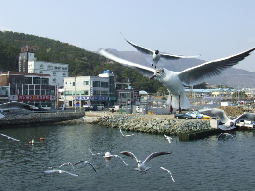 580597 (a): :1600x1200